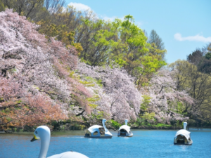 Read more about the article 東京の街をお散歩しよう！〜吉祥寺〜